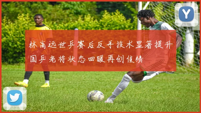 林高远世乒赛后反手技术显著提升国乒老将状态回暖再创佳绩